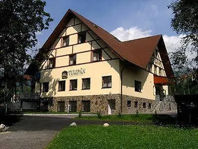 Tulipan Vysoké Tatry